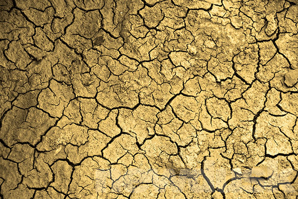 parched